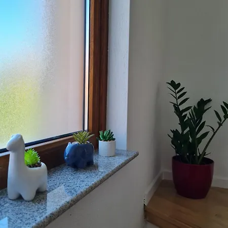 Apartment Maya
