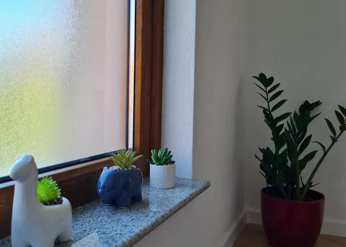 Апартаменты Maya